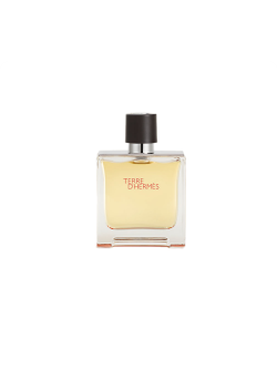 HERMES TERRE D 100 ml 